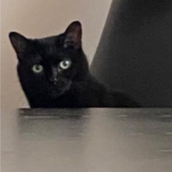 Jackets & Blazers - Make me an offer bundle and save on shipping